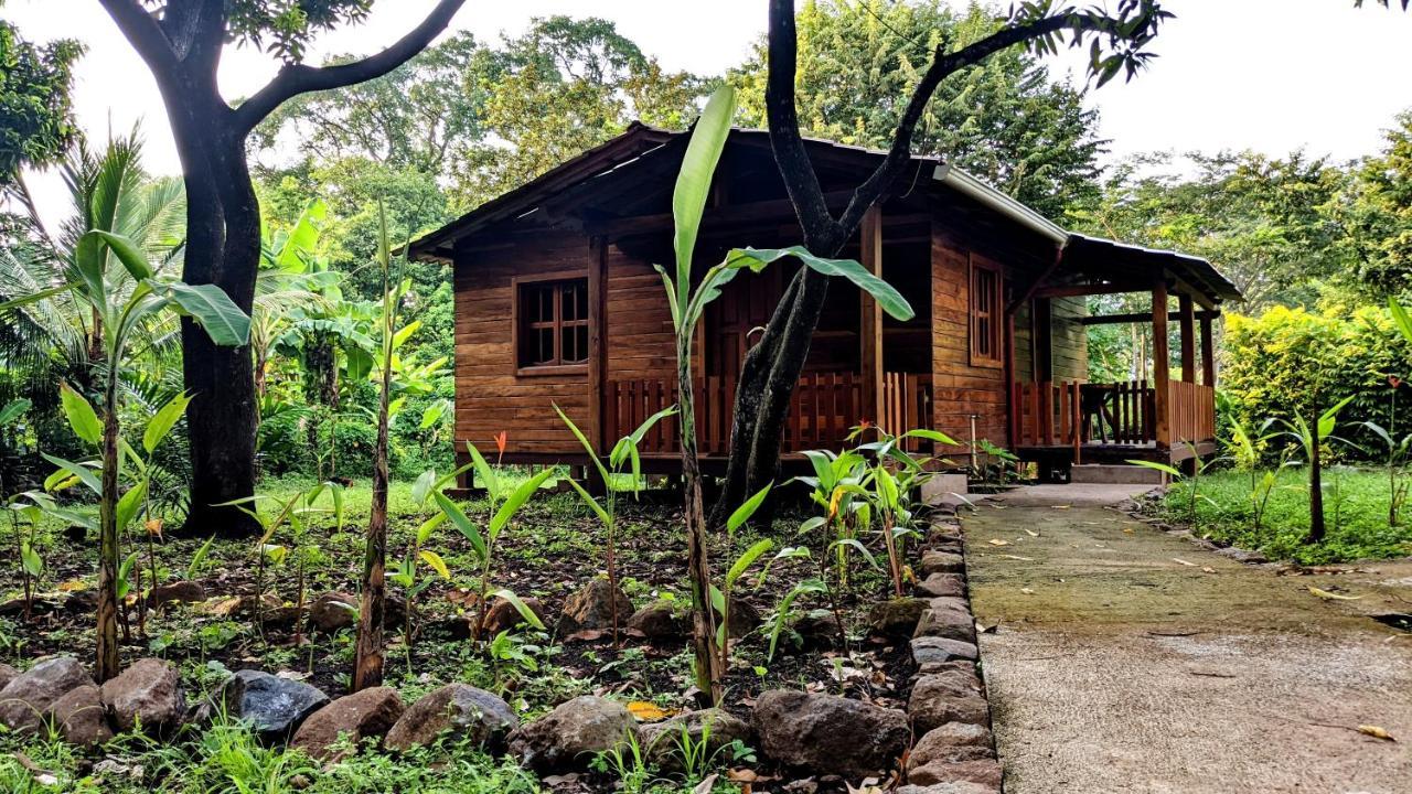 Wood Cabin - Cabana Maderas Бальге Экстерьер фото